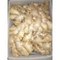 250g এবং আপ বায়ু শুকনো আদা